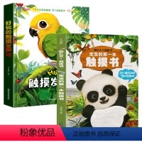 触摸发声书+触摸书 [正版]好玩的触摸发声书点读触摸翻翻书岁宝宝学说话幼儿早教启蒙认知撕不烂机关书3岁儿童益智早教宝宝触