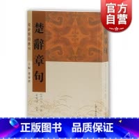 [正版]楚辞章句 楚辞要籍丛刊 黄灵庚 编 [汉]王逸撰 校 上海古籍出版社