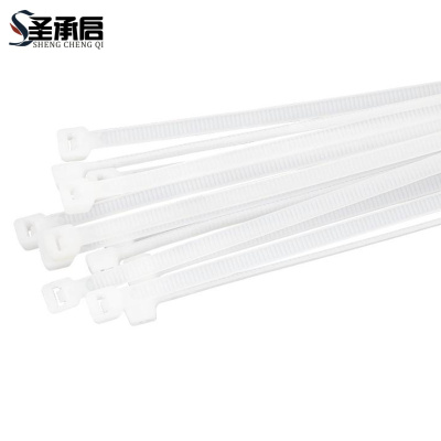 圣承启 塑料扎带 3*200mm根