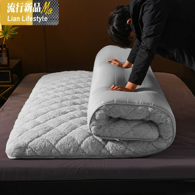 床垫软垫家用床褥海绵加厚硬榻榻米垫子地铺睡垫租房专用垫被褥子 三维工匠