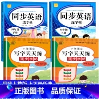 语文字帖+英语字帖(上册+下册) 小学四年级 [正版]小学生同步练字帖语文+英语 四年级上册下册人教版PEP 硬笔书法钢