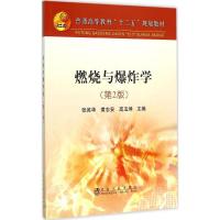 燃烧与爆炸学(第2版)