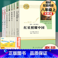 全套7本]八年级上册名著 人教版 [正版]昆虫记和红星照耀中国 原著完整版法布尔八年级上册必读名著初中学生课外阅读书籍人