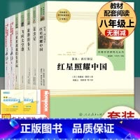 全套7本]八年级上册名著 人教版 [正版]昆虫记和红星照耀中国 原著完整版法布尔八年级上册必读名著初中学生课外阅读书籍人