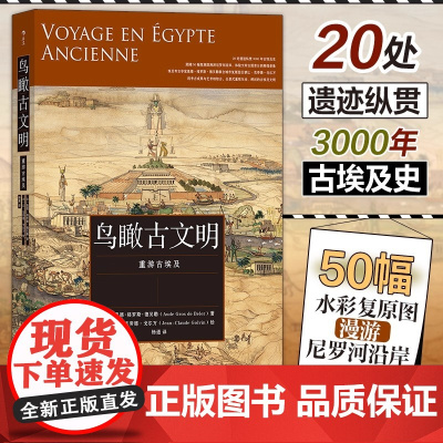 鸟瞰古文明 重游古埃及 (法)奥德·格罗斯·德贝勒 著 杨通 译 (法)让-克劳德·戈尔万 绘 文物 考古社科 正版图书