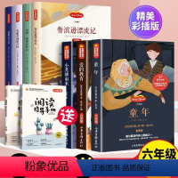 六年级上下册必读 [正版]六年级必读的课外书上册下册 下快乐读书吧上6阅读的书籍老师 童年小英雄雨来爱的教育骑鹅旅行记鲁