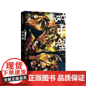 戏中壁