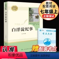 白洋淀纪事 [正版]白洋淀纪事七年级必读书原著初中生必读人教版阅读孙犁的白洋淀记事人民教育出版社原版初一上课外读物书籍老