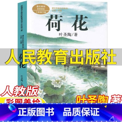 荷花 [正版]荷花书叶圣陶著三年级下册课外书人民教育出版社彩图美绘版人教版语文配套阅读王林主编课文作家作品系列