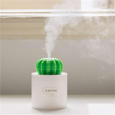 :仙人球加湿器