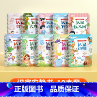 [10本套]识字启蒙游戏书 [正版]斗半匠识字早教安静书幼儿识字启蒙游戏书儿童象形看图识字卡片早教识字贴幼儿认字神器全套