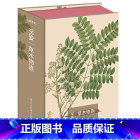 [正版]书籍 出类艺术明信片 至爱·草木物语清新唯美植物画片草木物语创意生日贺卡 科罗曼岸德海岸植物手绘画集明信片