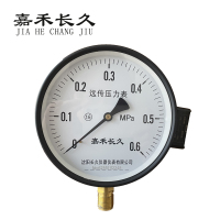 嘉禾长久 远传压力表检测型 YTZ150 块