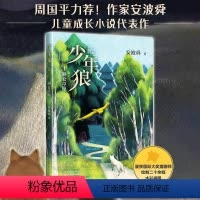 额仑草原 [正版]少年狼.1 额仑草原 中国版狮子王 让孩子学会 自我成长 精美插图四色印刷适合亲子共读与大语文教育周