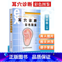 [正版] 耳穴诊断彩色图鉴黄丽春著科技文献出版社 中医针灸推拿按摩 耳医学 耳穴诊断法 视听触叩诊 望闻问切辩证 疾病