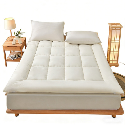 顾享家 棉花褥子 100*200cm*4斤 床