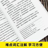 [M]了不起的盖茨比(英汉对照注释版)/振宇书虫-9787511037701