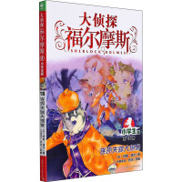 连环失踪大探案 小学生版