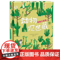 正版 动物捉迷藏:视觉大发现 幼儿书籍3-6岁益智图书早教书少儿绘本万茜衡著高静译 江苏凤凰美术出版社店 苏美童书