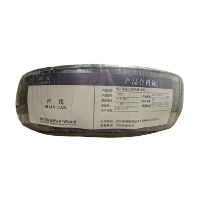 绵缆 铜芯聚氯乙烯绝缘电缆 YJV22-0.6/1kV-3*10+2*6 米