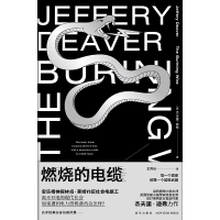 正版新书]燃烧的电缆杰夫里·迪弗9787513339797