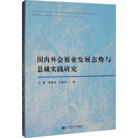 正版新书]国内外会展业发展态势与县域实践研究王蕾,崔春莹,许晓