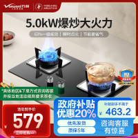 万和(Vanward)天然气燃气灶具煤气炉双灶嵌入式家用5.0kW大火力内直外旋火设计63%一级能效JZT-B6L60