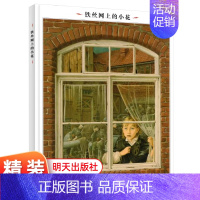 [正版]铁丝网上的小花(精) 漂流瓶绘本馆英诺森提作品 启蒙连环画故事书5-6-7-8-10周岁儿童绘本图书文学读物 三