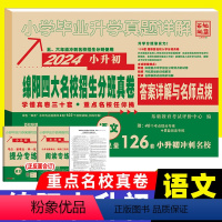 [正版]2024绵阳四大名校招生分班真卷 语文小升初真题五六年级入学冲刺试卷小学毕业升初中分班摸底真题试卷 模拟卷子答