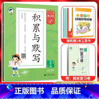 语文 五年级下 [正版]2024春5.3小学基础练积累与默写五年级语文下册 人教通用版 53五三小学5年级下同步专项训练