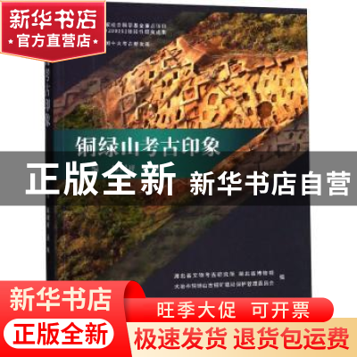 正版 铜绿山考古印象 陈树祥,连红主编 文物出版社 978750105657