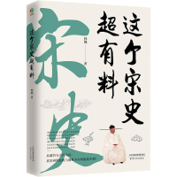 正版新书]这个宋史超有料林婉 著9787201203027