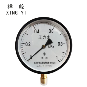 祥屹+压力表检测定制型+Y150+块