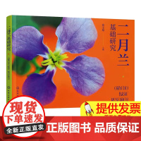 二月兰基础研究张宝旭 主编化学工业出版社9787122395962医学卫生/药学