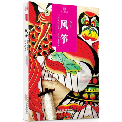 醉染图书风筝9787546141411