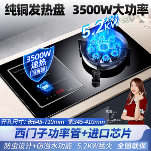 欢呼好太太[铜盘铜线]气电两用燃气灶灶具 双眼灶煤气灶双眼灶气电灶3500W电磁炉打火灶左电右气 天然气灶A020-2