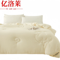 亿洛莱 冬被 150*200cm约6斤 床