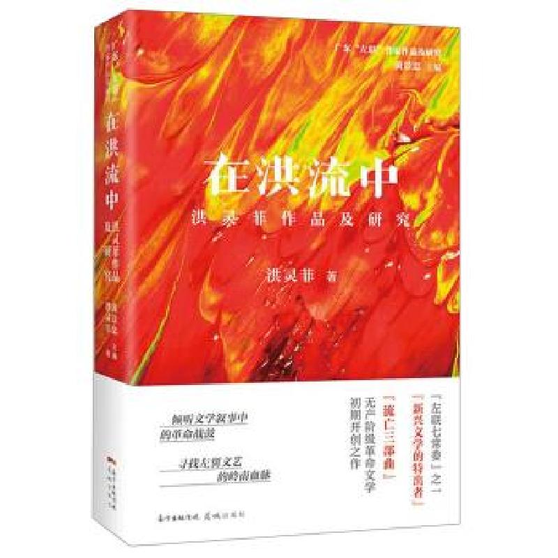 正版新书]在洪流中洪灵菲9787536090033