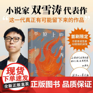 [正版]平原上的摩西 双雪涛代表作 周冬雨刘昊然主演电影《平原上的火焰》原著《我的朋友安德烈》原著小说现当代文学新经典