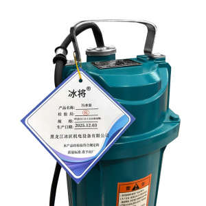 冰将 220V高扬程污水泵深井泵 台