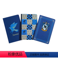 拉文克劳学院袖珍笔记本 [正版]哈利波特8 哈利波特与被诅咒的孩子 英文原版 Harry Potter and the