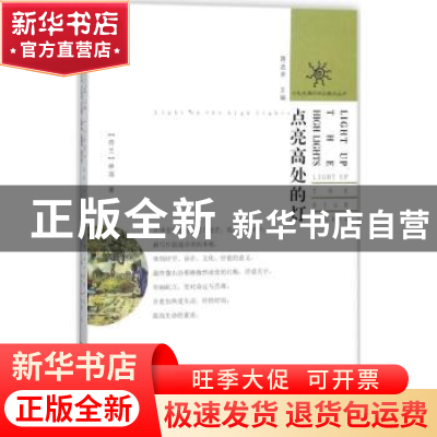 正版 点亮高处的灯 (荷)林湄著 花城出版社 9787536084223 书籍