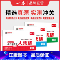 小升初考卷大集结[ 语数英3本] 小学通用 [正版]2025版小学知识大盘点语文数学英语知识大集结五年级六年级集锦名