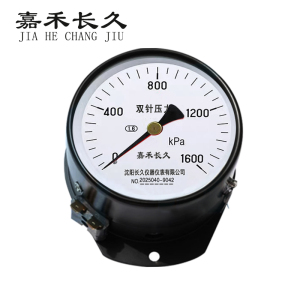 嘉禾长久 轴向双针表 YYS-JY-100Z 24V带灯 台