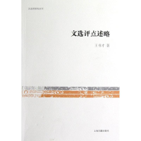音像文选评点述略/文史哲研究丛刊王书才