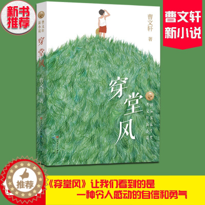 [醉染正版]正版 穿堂风 曹文轩系列儿童文学 草房子青铜葵花作者著 6-8-9-12周岁小学生课外阅读物书籍 少