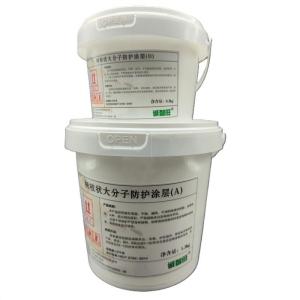 诚智旺 树枝状大分子防护涂层 黄色 1.2+0.3kg/组