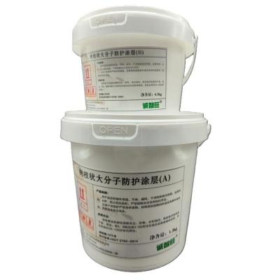 诚智旺 树枝状大分子防护涂层 黄色 1.2+0.3kg/组