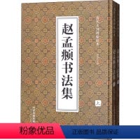 [正版]历代大师碑帖经典 赵孟頫书法集(2册) 赵孟頫 毛笔书法 艺术 天津人民美术出版社有限公司