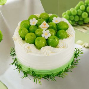 安德莉亚+生日蛋糕+动物奶油+新鲜水果